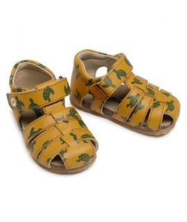 Falcotto Alby calf pr. turtles zucca-green