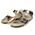 LELLI KELLY TRICIA LK4568-AG52 GOLD ROSE
