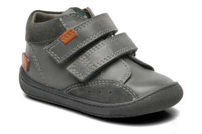 Aster Pavel 396270-10-12 gris