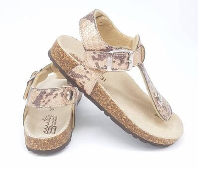 EB shoes 81-PIT.BRONZO