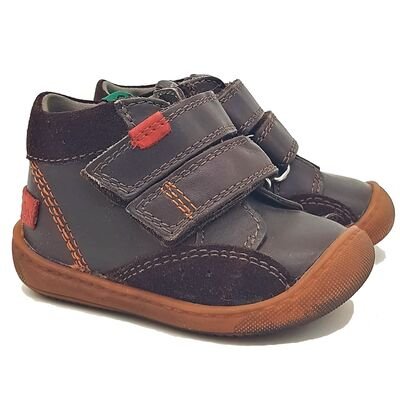 Aster Pavel 396270-10-9 marron